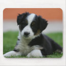 Buscar semanas alfombrillas de raton Collie frontera