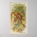 Buscar mono posters General y unisex