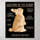 Buscar anatomía posters Amante