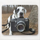 Buscar dan contra fotografía General y unisex