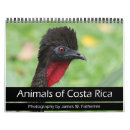 Buscar selva calendarios Toucan