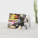 Buscar veterinaria tarjetas Perro