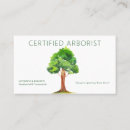 Buscar arboristas Cuidado de árboles