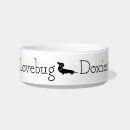 Buscar doxies mascotas Perro