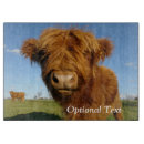 Buscar toro tablas cortar Animal