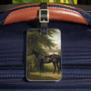 Buscar caballo negro etiquetas para maletas Ecuestre
