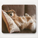 Buscar almohadas alfombrillas de raton Divertido