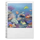Buscar snorkle Pescados