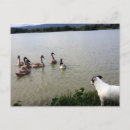 Buscar capo postales Perro