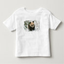 Buscar wolong Oso