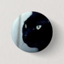 Buscar cara del gato chapas Halloween