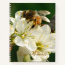 Buscar de la flor blanca libretas Profesores