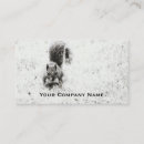 Buscar ardillas tarjetas de visita Clientes