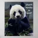 Buscar oso panda lindo posters General y unisex