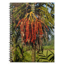 Buscar frutas cuadernos General y unisex