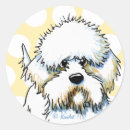 Buscar dandi postales Dog