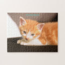 Buscar gato negro puzzles Cualquier niño