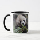 Buscar peligro tazas Verde