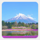 Buscar fuji pegatinas 6 º montura