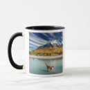 Buscar guanaco Camello