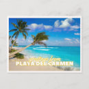 Buscar playa del carmen postales Palmera