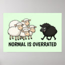 Buscar ovejas negras posters Blanco