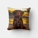 Buscar chocolate labrador cojines Divertido