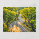 Buscar olivares postales Naturaleza