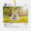 Buscar petlover Doglover