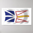 Buscar terranova posters Canadiense