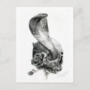 Buscar serpiente salvaje postales Ilustracion