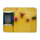 Buscar burano imanes Rosa