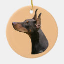 Buscar doberman adornos Dobie