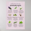 Buscar holistico posters Aromaterapia
