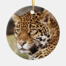 Buscar jaguar adornos 9 º gata