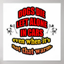 Buscar bienestar animal posters Coches calientes
