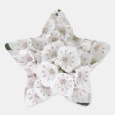 Buscar estrella blanca pegatinas General y unisex