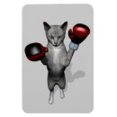 Buscar kickboxing imanes Kickboxer
