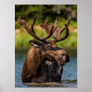 Buscar haney posters Montana