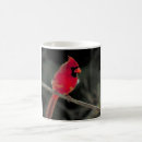 Buscar escarlata tazas Pájaro