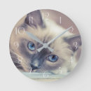 Buscar blue cat arte Eyes