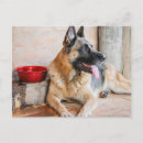 Buscar pastores alemanes postales Cachorro