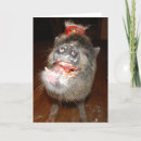 Buscar cerdo feliz tarjetas General y unisex
