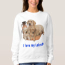Buscar labrador retriever sudaderas Animales