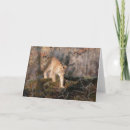 Buscar lince tarjetas Naturaleza
