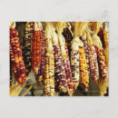 Buscar tienda postales Mercado