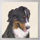 Buscar la berna posters Perro de montaña bernese
