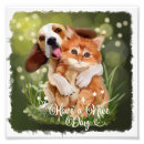 Buscar beagles fotografía Lindo