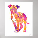 Buscar pozo posters Pitbull