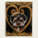 Buscar yorkies agendas Yorkie poo